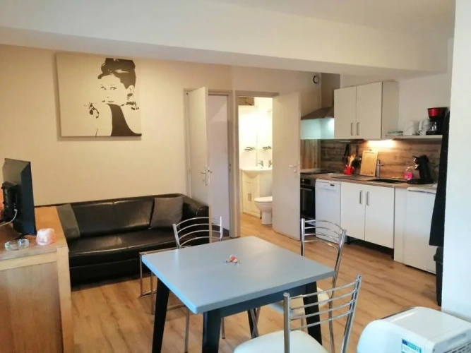 1 Bedroom Apartment