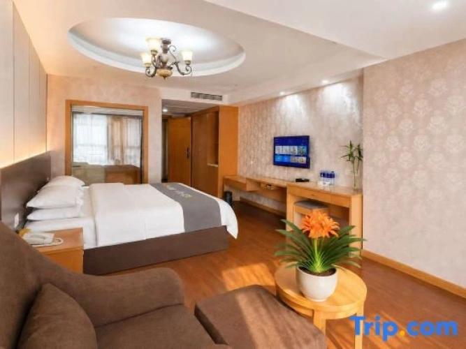 Standard Double room with city view
