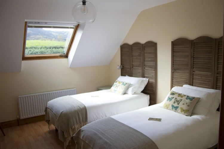 Standard Twin room with mountain view