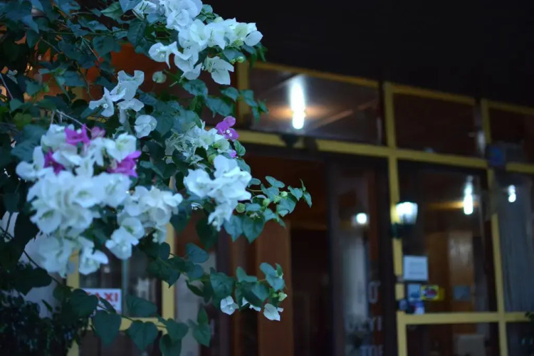 奥运火炬酒店外景图