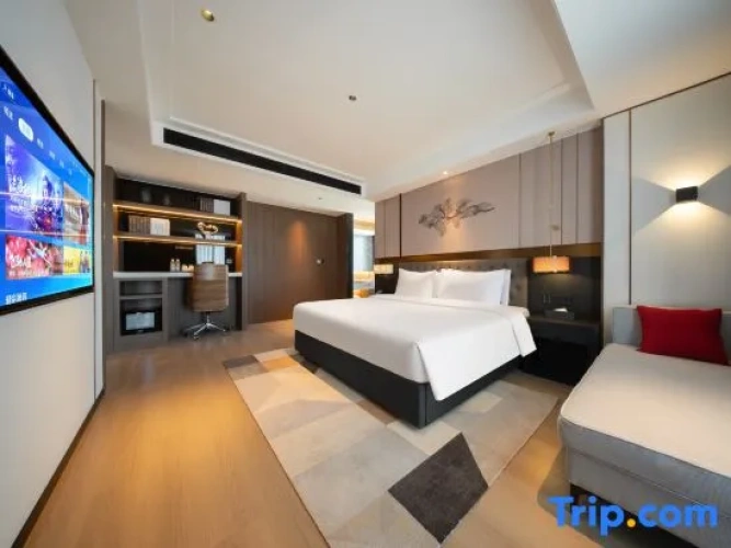 Premium Suite