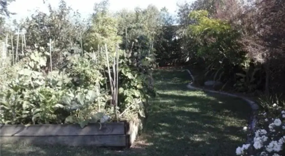 Andros Bed and Breakfast