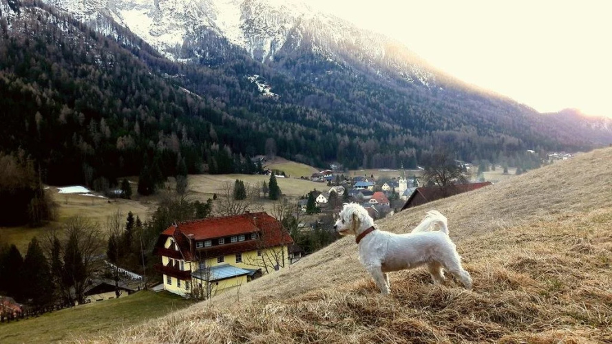Bauernhof Hausmann