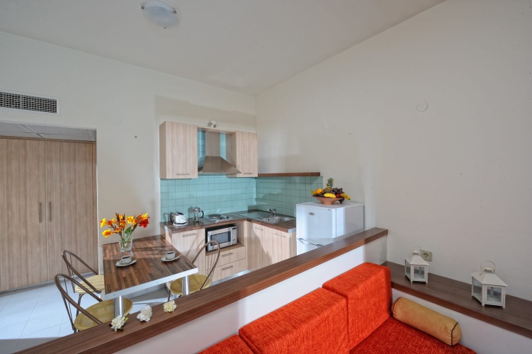 1 Bedroom Standard Apartment