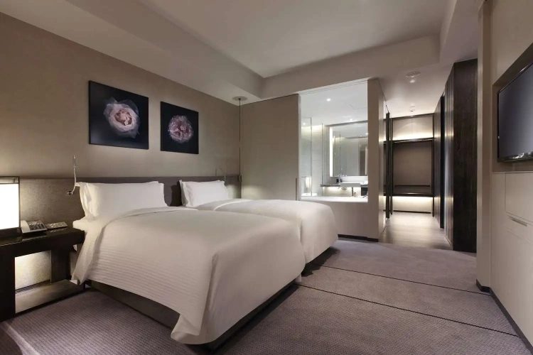 Deluxe Twin Suite