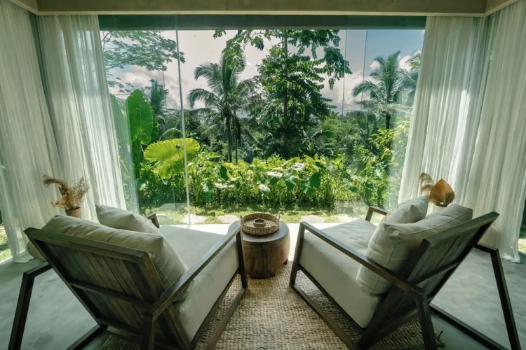 Standard Suite