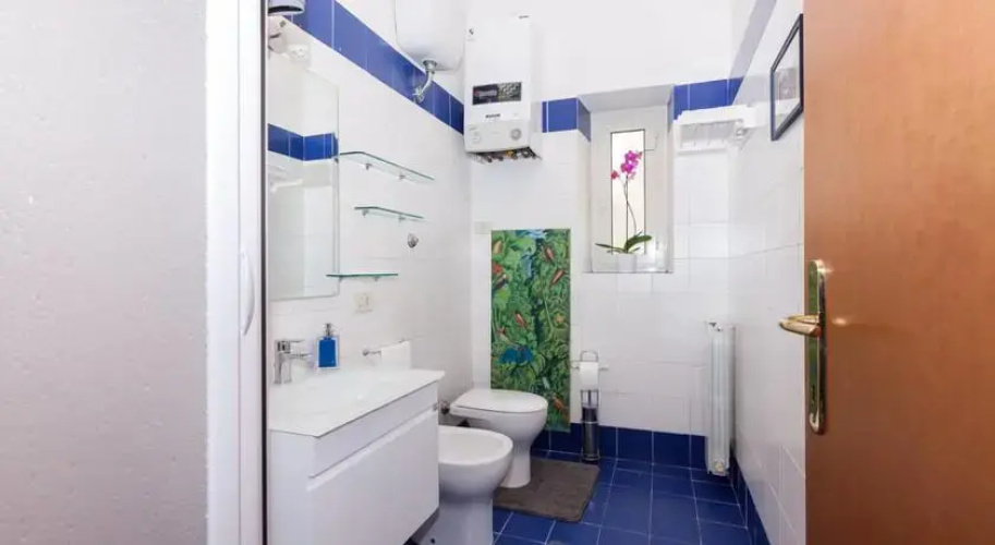 Romainblu