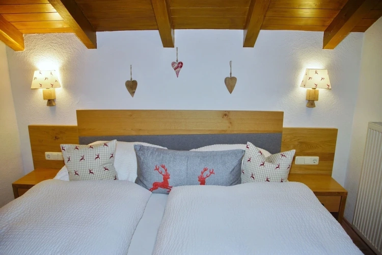 Superior Double room with mountain view