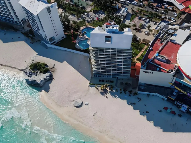 Salvia Cancún