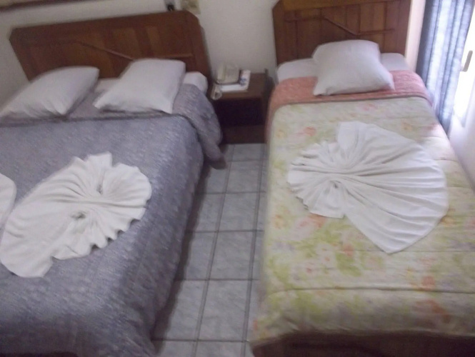 Hotel Tulipa