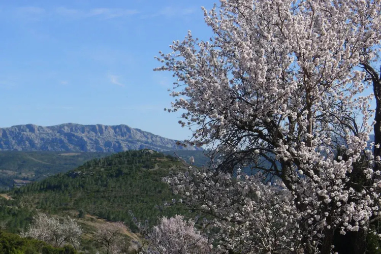 Yourte Nature Saint Roch