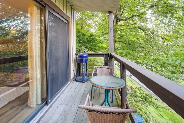 Walk to Slopes! Beech Mountain Condo, Pet Friendly