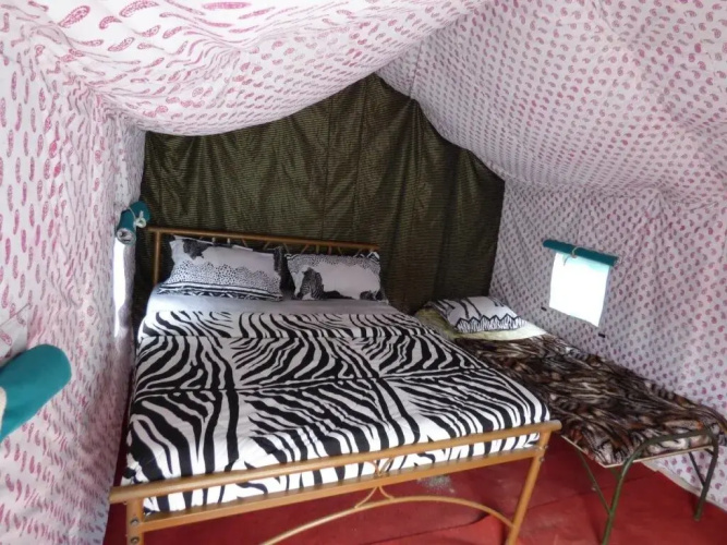 Mogli Camps