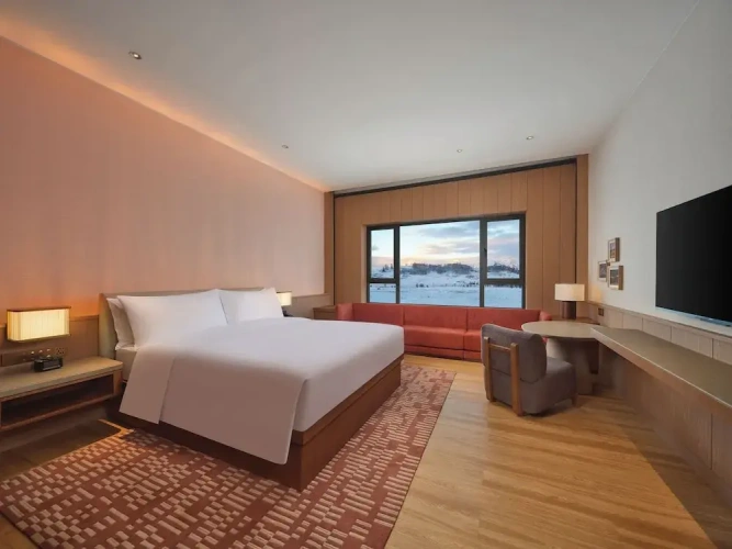 Standard Double room with mountain view