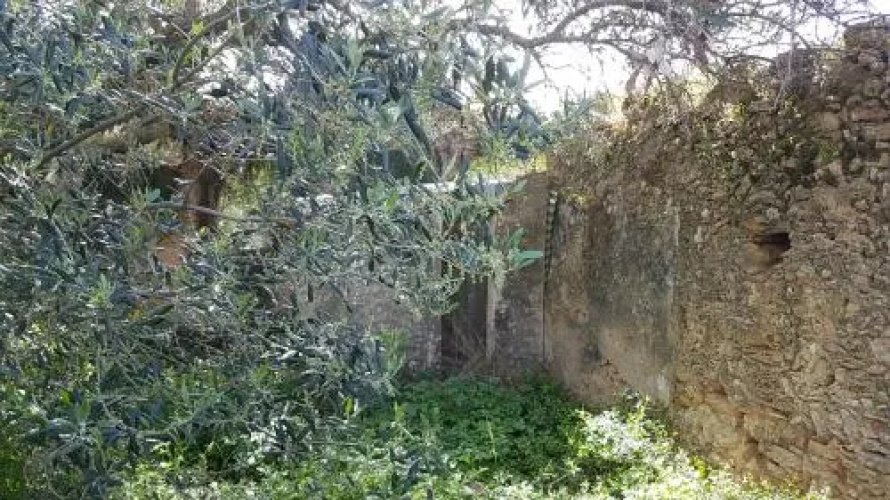 Villa SeaBreeze