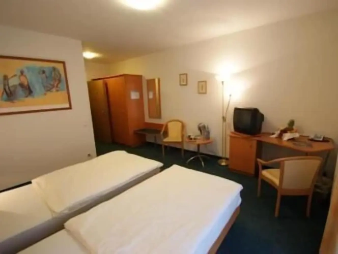 Deluxe Single room