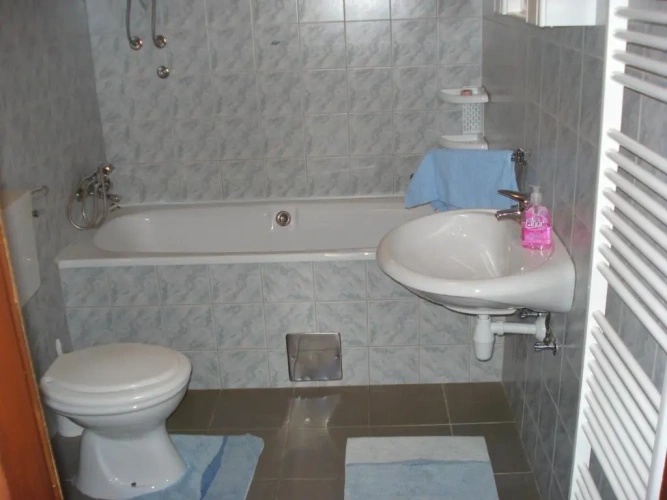 1 Bedroom Apartment with view