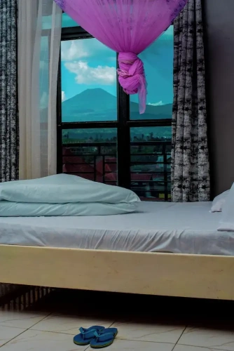 Deluxe Double room with balcony and with park view