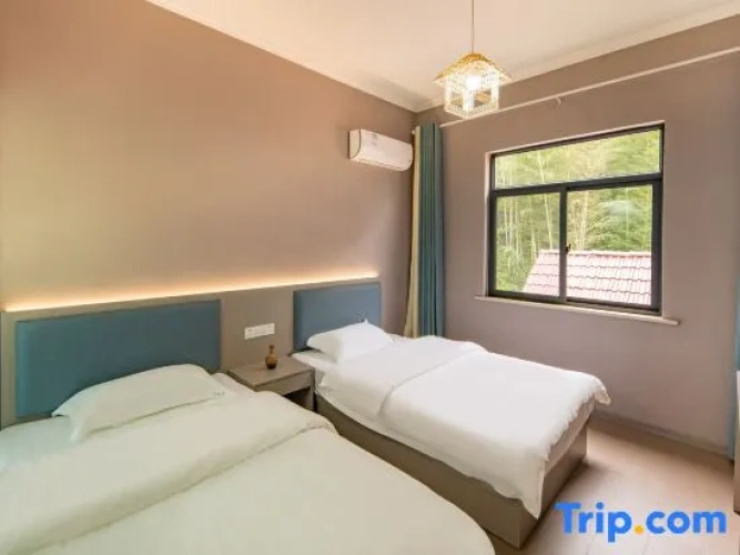 Standard Double room with mountain view