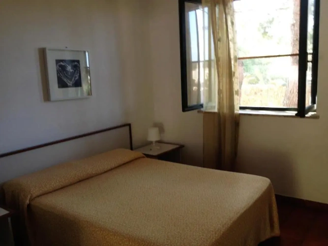 Standard Double room with park view
