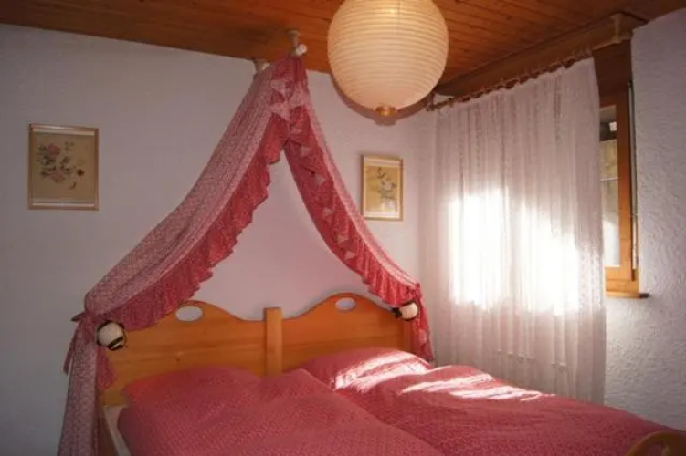 Ortolan 003