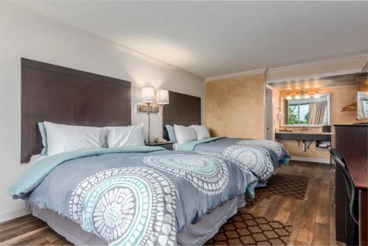 Standard Double room with garden view
