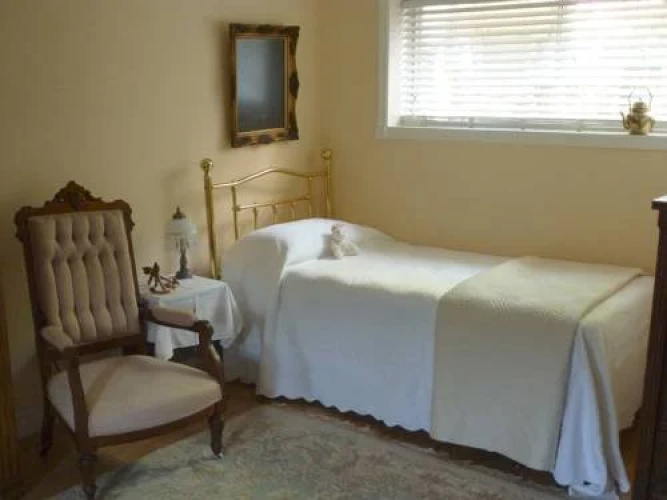 Antiques And Gardens