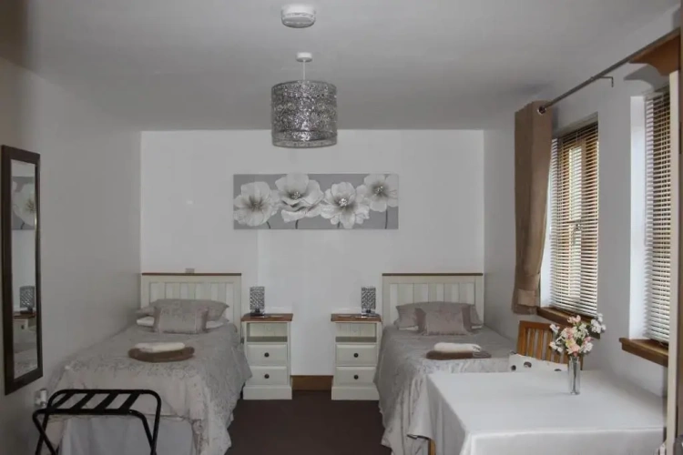 Superior Twin room