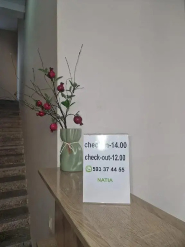 Hotel in Kobuleti 384