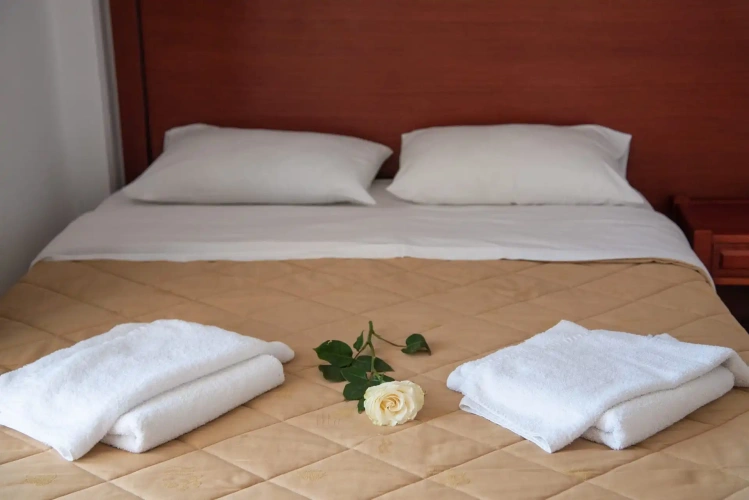 Standard Double room with balcony and with mountain view