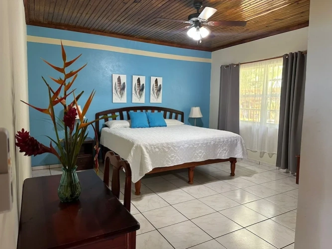 Economy Single room