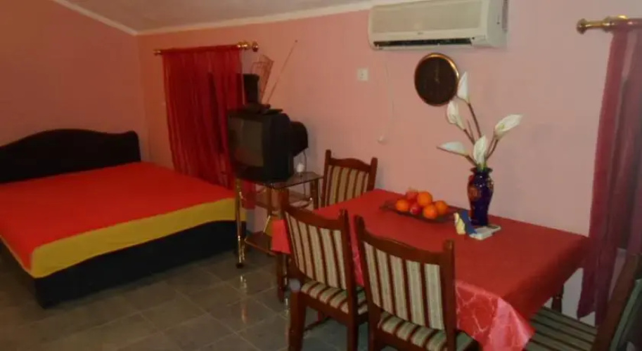 Savić Apartments