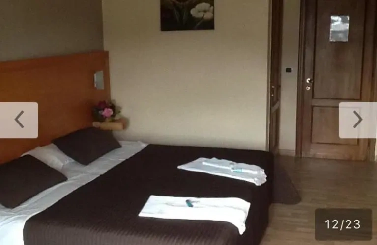 Standard Double room with balcony and with view