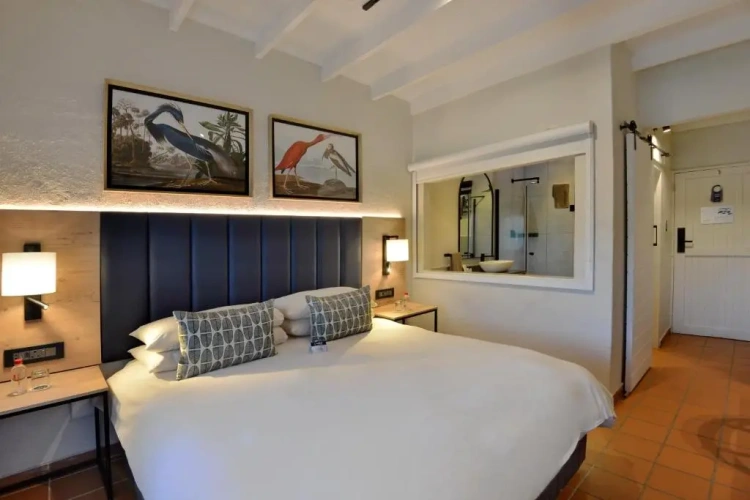 Deluxe Double Suite
