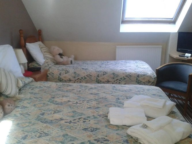 Springfield B & B