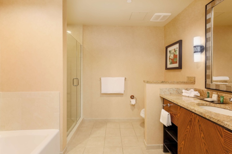 Hilton Promenade at Branson Landing photo 12