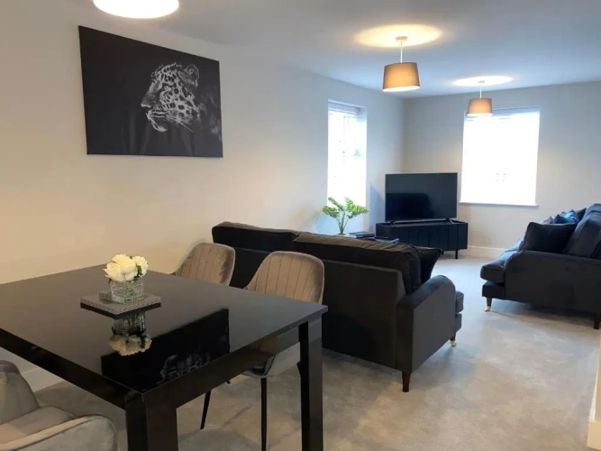 Deluxe Apartment