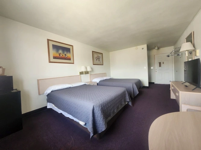 Standard Single room with city view