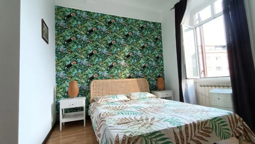 Colosseo Kokedama rooms
