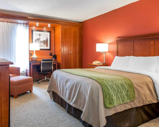 Standard room