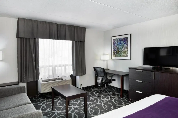 Suite