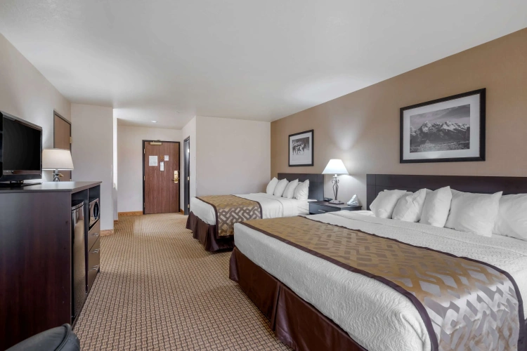 Standard Double room