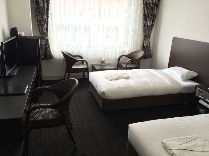Standard Twin room with city view
