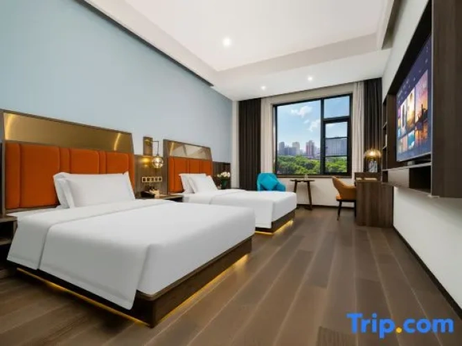Deluxe Twin Family room