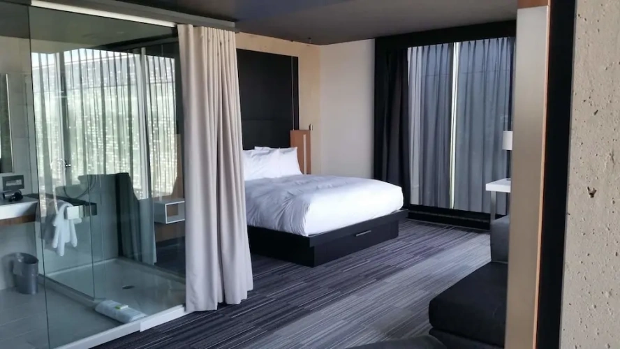 Superior Double Suite with city view