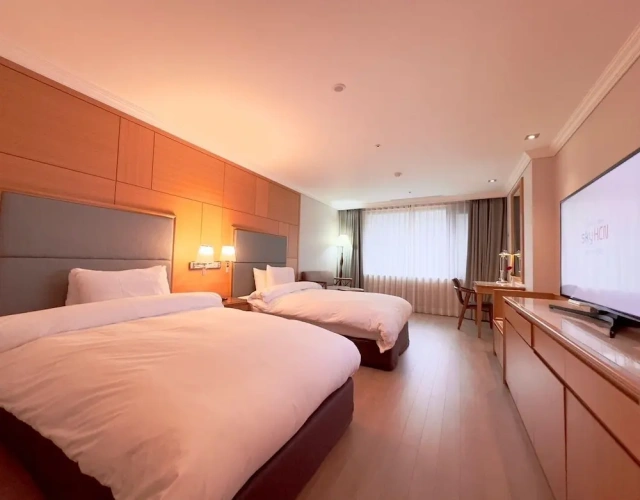 Deluxe Twin room