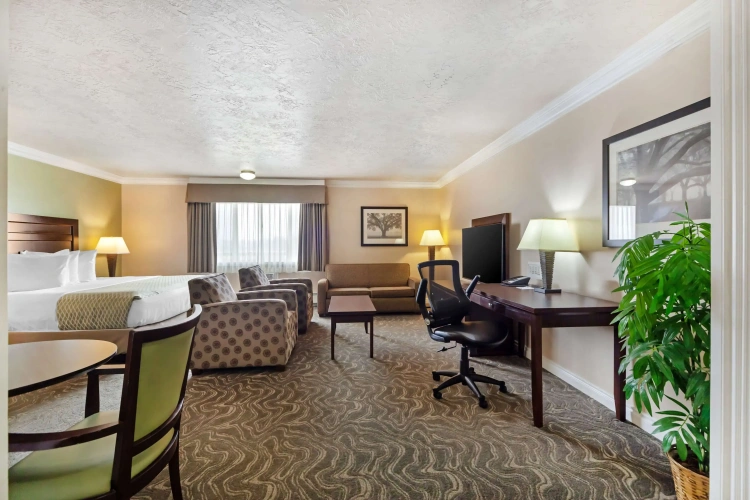 Double Suite