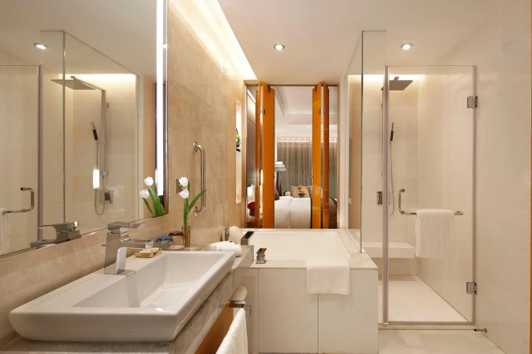 Standard Twin room with lake view