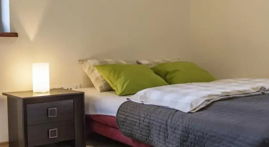 Apartament Boruta