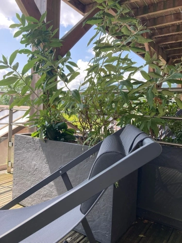 Classic Double room with balcony and with park view